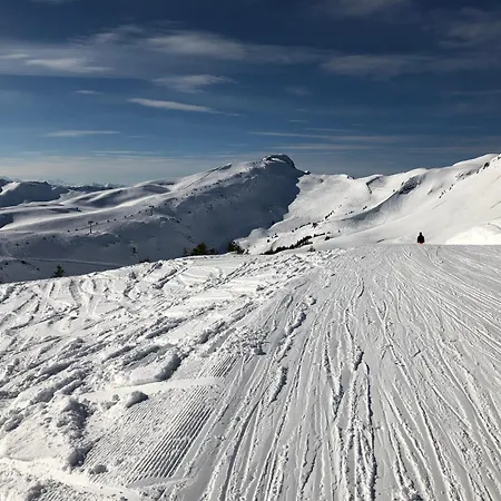 Stern * Фонтанелла