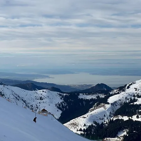 Stern Апартаменты *