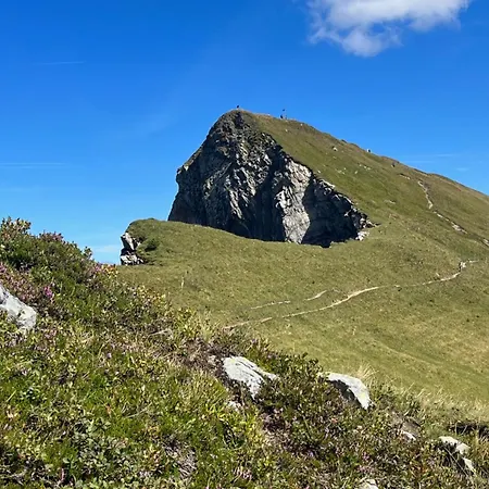 Stern * 丰塔内拉