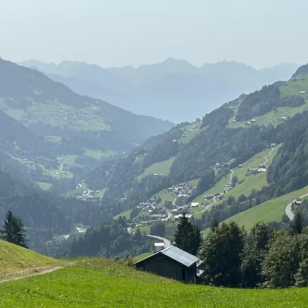 Stern * Фонтанелла